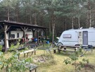 Sprzedam działkę 3000 m2 w kompleksie działek leśnych. - 4
