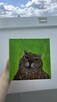 Energia Głównego Bohatera. Obraz olejny 20x20 cm na płótnie. - 4