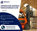 Operator wózka widłowego UDT (k/m)