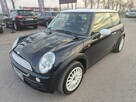 1.6B Ładny Miniaczek - 3