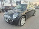 1.6B Ładny Miniaczek - 4