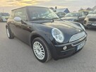 1.6B Ładny Miniaczek - 6