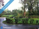Przytulna kawalerka, blisko park, dobry dojazd do Centrum, Bezpośrednio - 8