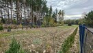 Działka budowlana Cecylówka gm. Głowaczów - 4