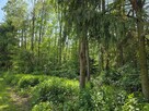 Działka budowlana Koszyce Wielkie gm. Tarnów - 14