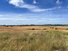 Działka rolna Zieleniewo gm. Kołobrzeg, Jantarowa - 9