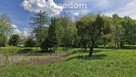 Spokojna działka 3 128 m² wśród lasów - 6
