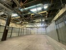 Magazyn,produkcja,usługi,dostep24h,ochrona,parking - 11