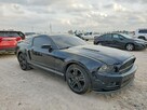 Ford Mustang / 5.0 420KM / automat / niski przebieg /