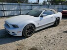 Ford Mustang / cabrio / niski przebieg / automat /