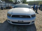 Ford Mustang / cabrio / niski przebieg / automat / - 2