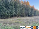 Działka rolna 2ha 20 km od Warszawy blisko S8 - 4