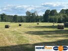 Siedlisko pod lasem, 1,8 ha niedaleko Warszawy - 7