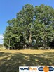 Siedlisko pod lasem, 1,8 ha niedaleko Warszawy - 9