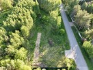 Leśny horyzont połączony z siecią - 1