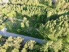 Leśny horyzont połączony z siecią - 5