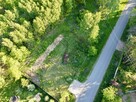Leśny horyzont połączony z siecią - 10