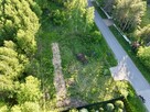 Leśny horyzont połączony z siecią - 12