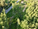 Leśny horyzont połączony z siecią - 13