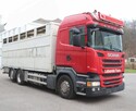 Do przewozu zwierzat 2 poz Scania - 5