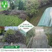Koszenie trawników - wywóz zielonych odpadów - grabienie - 5