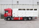 Do przewozu zwierzat 2 poz Scania - 10