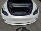 Tesla Y AWD / Dual motor / - 10
