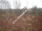 działka z planem zagospodarowania - 2