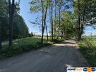 Ziemia rolna 1,25 ha niedaleko Warszawy - 3