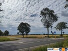 Działka z WZ 4 domy blisko Narwi 35km od Warszawy - 3