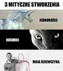 Szukam szczypłej kobiety 18-46. Cel-Przyjażń na początek