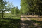 Działka na sprzedaż Zdory, warmińsko-mazurskie - 6