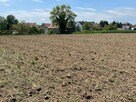 Działka budowlana Dobroszów gm. Chojnów, - 3