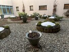 Mieszkanie Legnica, - 12