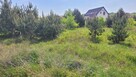 Działka budowlana Lubniewice, - 6
