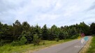 Atrakcyjne teren, możliwość zabudowy, las, jezioro - 3