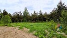Atrakcyjne teren, możliwość zabudowy, las, jezioro - 6