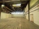 Magazyn,parking,produkcja,usługi,dostęp24h - 12