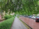 OD RĘKI Metro Bródno 30m2 po remoncie BEZPOŚREDNIO - 10