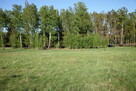 Działka na sprzedaż Zdory, warmińsko-mazurskie - 5