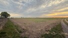 Działki budowlane na sprzedaż – Kotunia, gm. Słupca - 4
