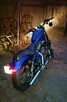 Harley-Davidson Nightster 1200 / Sportster