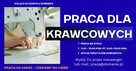 Krawcowe / Szwaczki praca na stałe Częstochowa Kolorowa