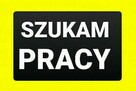 Szukam pracy