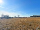 Działka inwestycyjna Trzciniec gm. Lubartów, Trzciniec, Lubartów - 6
