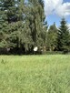 Działka jedyna w swoim rodzaju. Унікальна ділянка - 14