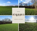 Działka Gościno, Bociania