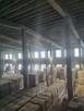 Sprzedam hale, magazyny, lokale biurowe 12815 m2 - 11