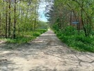 Działka rolna Gnojno Gorzakiew - 8