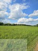 Działka budowlana 960 m² – Kosówka - 2